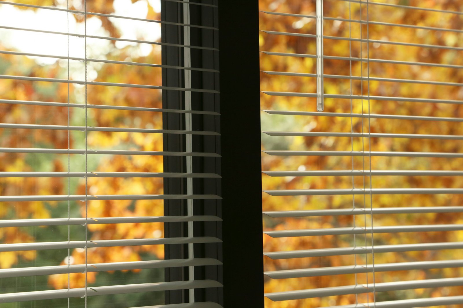 Rollladen am Fenster leicht geöffnet
